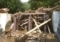 h型流木捕捉工　捕捉事例