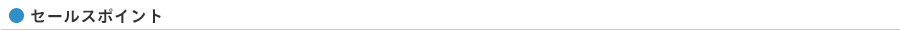 セールスポイント