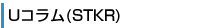 Uコラム（STKR)
