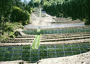 スーパーグリーンウォール 土木鉄構商品 防災商品 日鉄建材株式会社